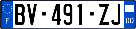 BV-491-ZJ