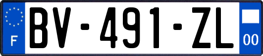 BV-491-ZL