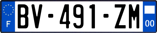 BV-491-ZM