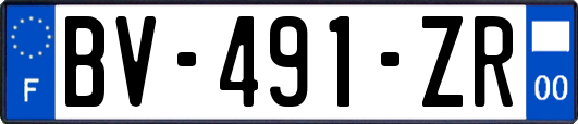 BV-491-ZR