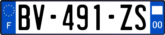 BV-491-ZS