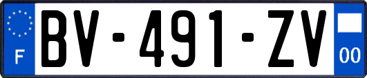 BV-491-ZV