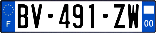 BV-491-ZW