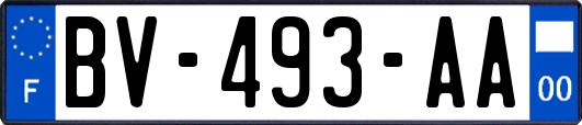 BV-493-AA