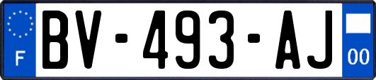 BV-493-AJ