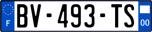 BV-493-TS