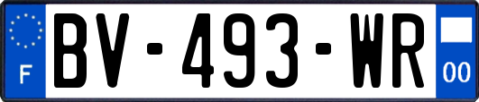 BV-493-WR