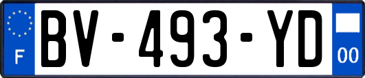 BV-493-YD