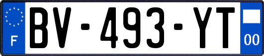 BV-493-YT