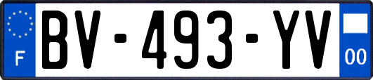 BV-493-YV