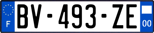 BV-493-ZE