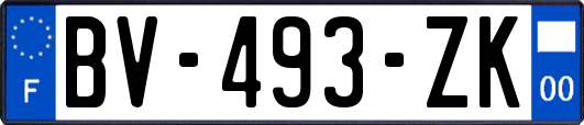 BV-493-ZK