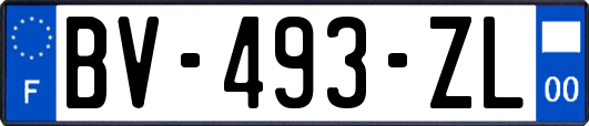 BV-493-ZL