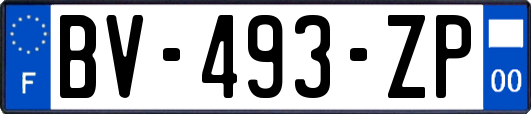 BV-493-ZP