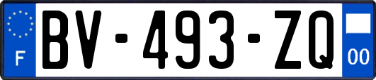 BV-493-ZQ