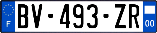 BV-493-ZR