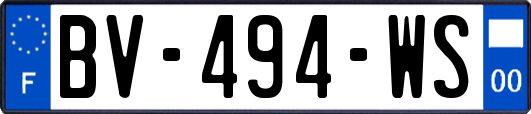 BV-494-WS