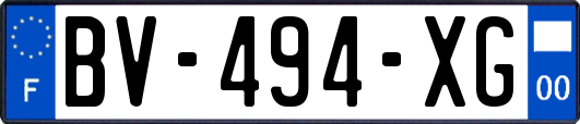 BV-494-XG
