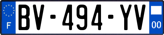 BV-494-YV