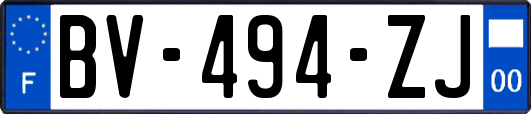 BV-494-ZJ