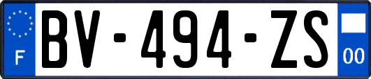 BV-494-ZS