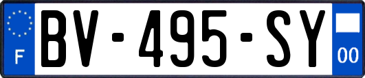 BV-495-SY