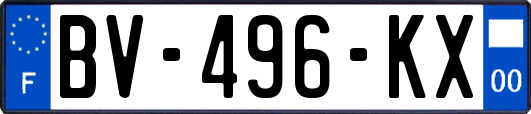 BV-496-KX