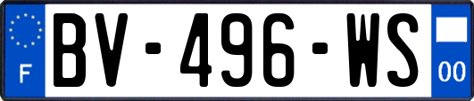 BV-496-WS