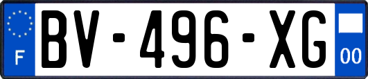 BV-496-XG