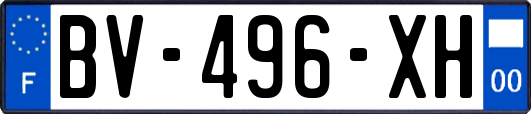 BV-496-XH