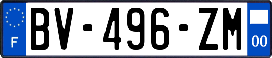 BV-496-ZM