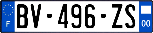 BV-496-ZS