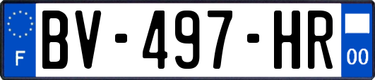 BV-497-HR