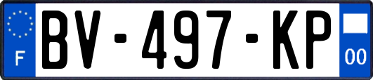 BV-497-KP