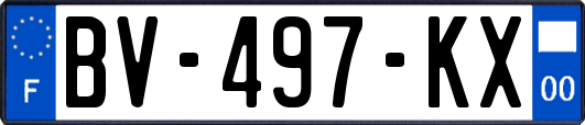 BV-497-KX