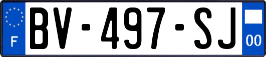 BV-497-SJ