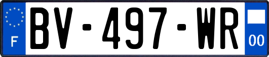 BV-497-WR