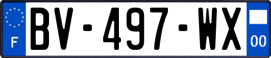 BV-497-WX