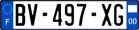 BV-497-XG
