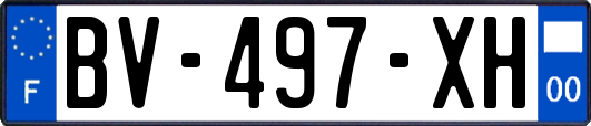 BV-497-XH