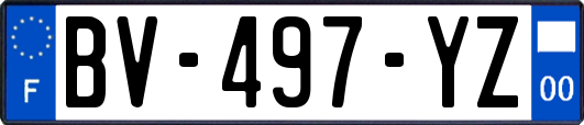 BV-497-YZ