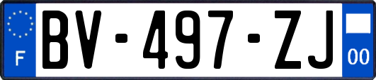 BV-497-ZJ