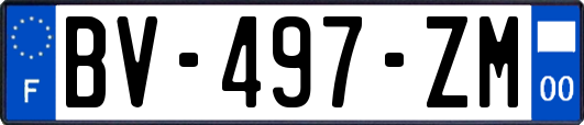 BV-497-ZM