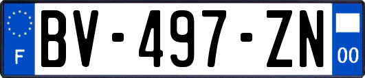 BV-497-ZN