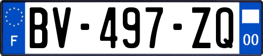 BV-497-ZQ