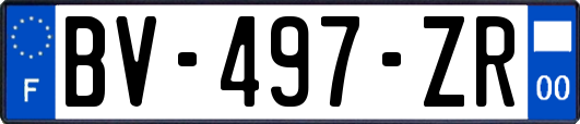 BV-497-ZR