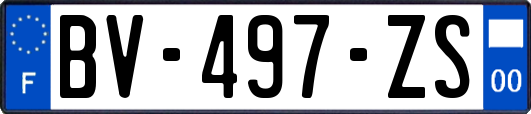 BV-497-ZS