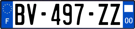 BV-497-ZZ