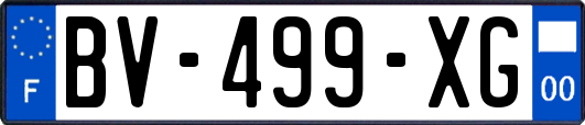 BV-499-XG