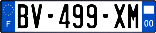 BV-499-XM